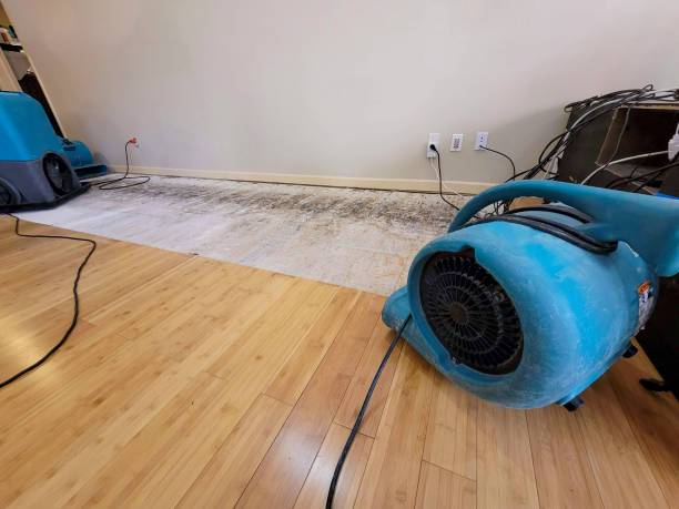 Professional Basement Flood Cleanup technician working in Schwertner, TX